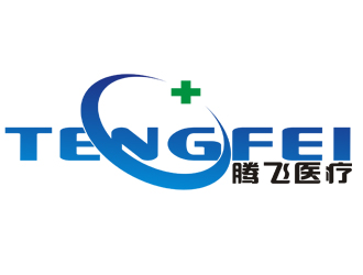 李正東的河南省騰飛醫(yī)療器械有限公司logo設(shè)計(jì)